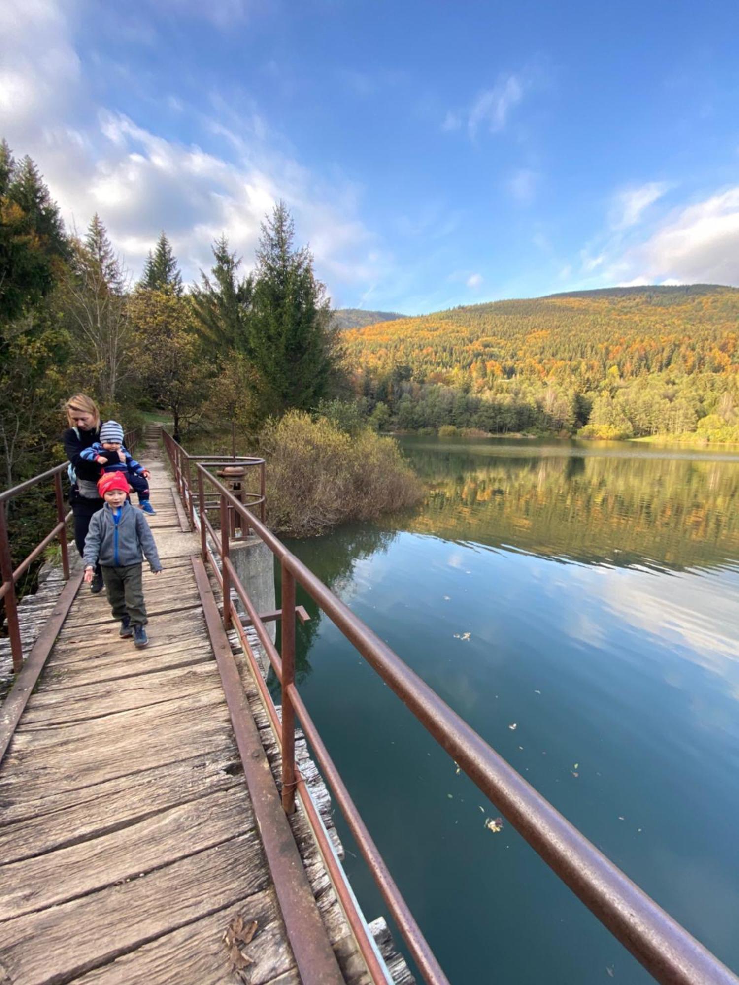 Drevenica Emilka, 5 Min Restauracia, Z Terasy Vyhlad Na Kralovu Holu A Polomske Ocko, Gril, Ohnisko, Kotlik Villa Brezno Bagian luar foto